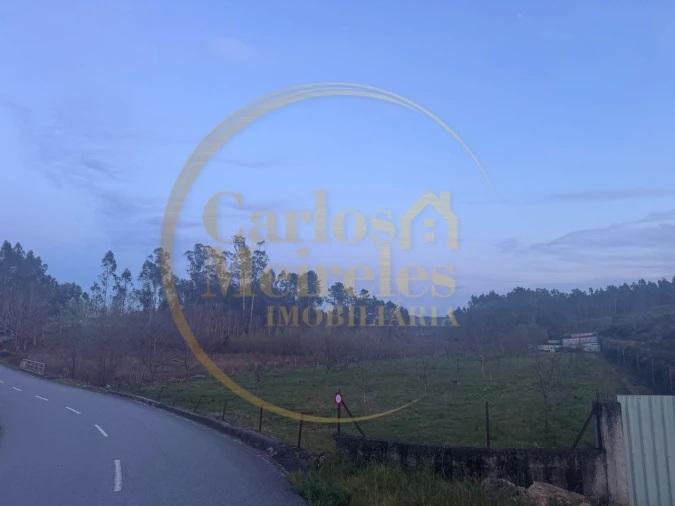 Terreno para Venda em Associação de Freguesias do Vale do Neiva Foto 16