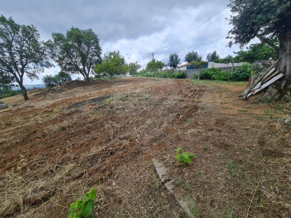 Terreno para Venda em Envendos Foto 31