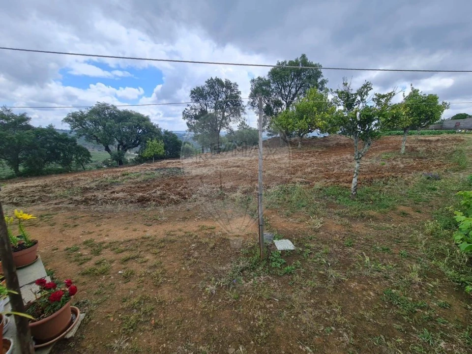 Terreno para Venda em Envendos Foto 36