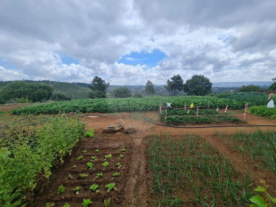 Terreno para Venda em Envendos Foto 21