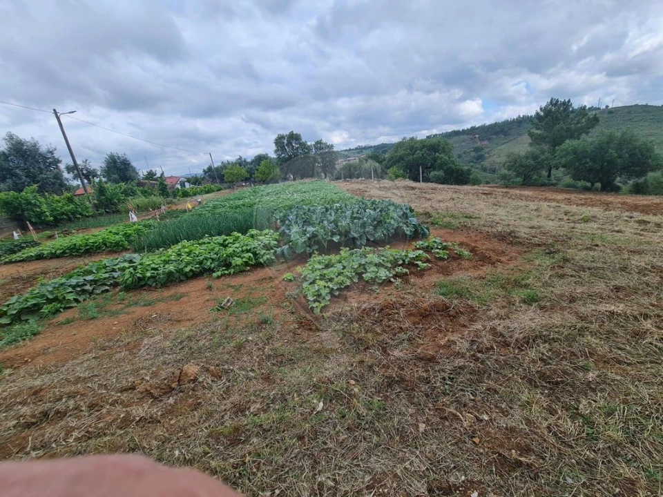 Terreno para Venda em Envendos Foto 7