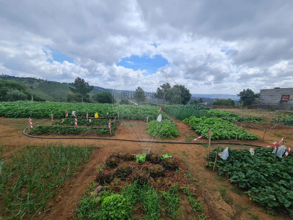 Terreno para Venda em Envendos Foto 14
