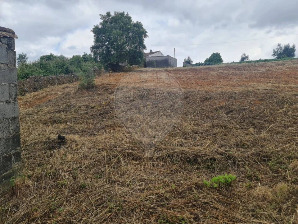 Terreno para Venda em Envendos Foto 8