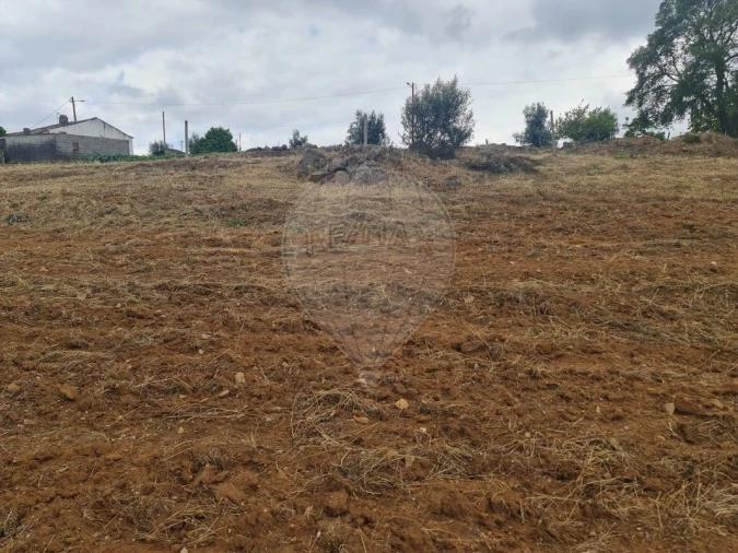 Terreno para Venda em Envendos Foto 9