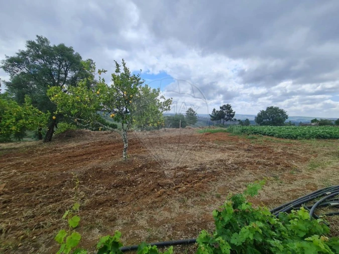 Terreno para Venda em Envendos Foto 22