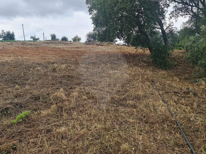 Terreno para Venda em Envendos Foto 23