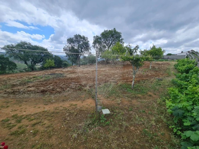 Terreno para Venda em Envendos Foto 10