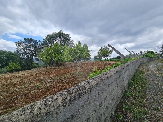 Terreno para Venda em Envendos Foto 35