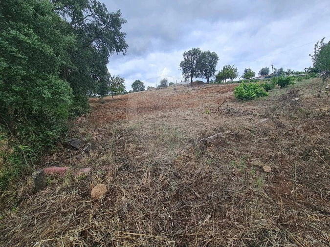 Terreno para Venda em Envendos Foto 19