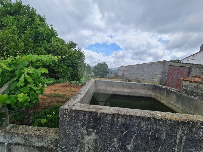 Terreno para Venda em Envendos Foto 5
