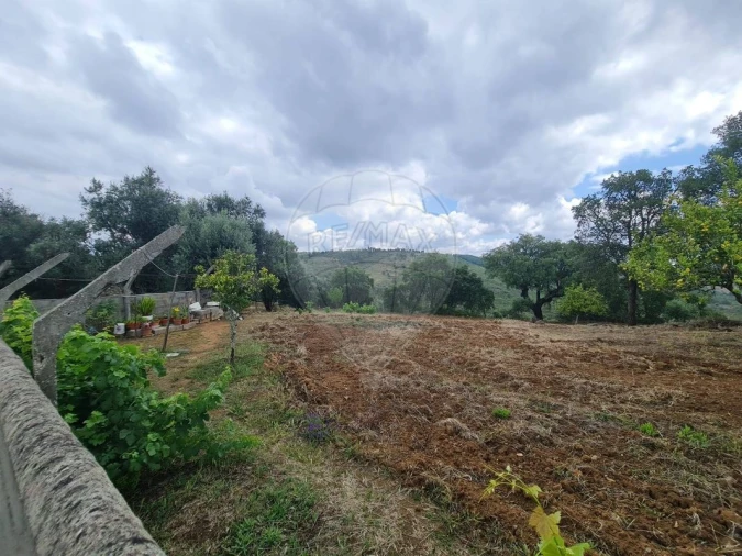 Terreno para Venda em Envendos Foto 12