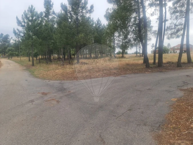 Terreno para Venda em Envendos Foto 3