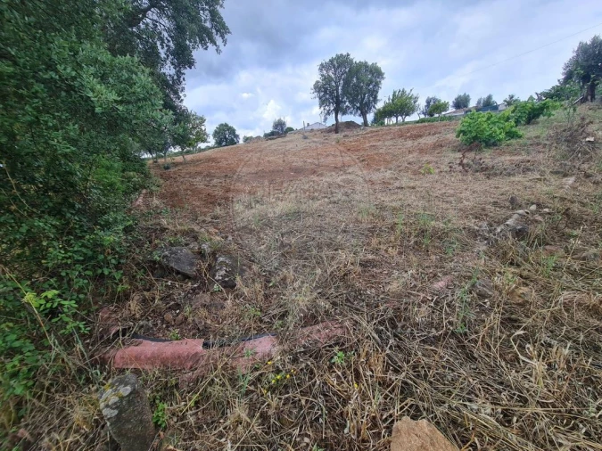 Terreno para Venda em Envendos Foto 15