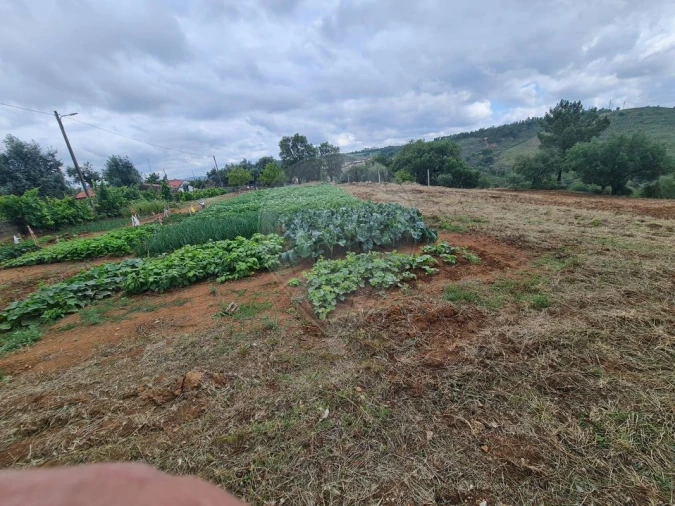 Terreno para Venda em Envendos Foto 7