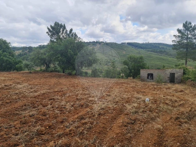 Terreno para Venda em Envendos Foto 30