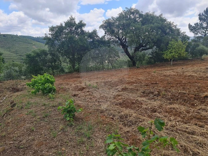 Terreno para Venda em Envendos Foto 39