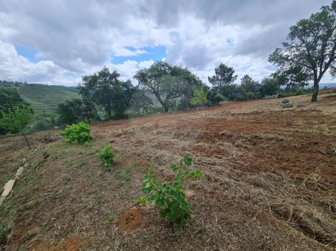 Terreno para Venda em Envendos Foto 18
