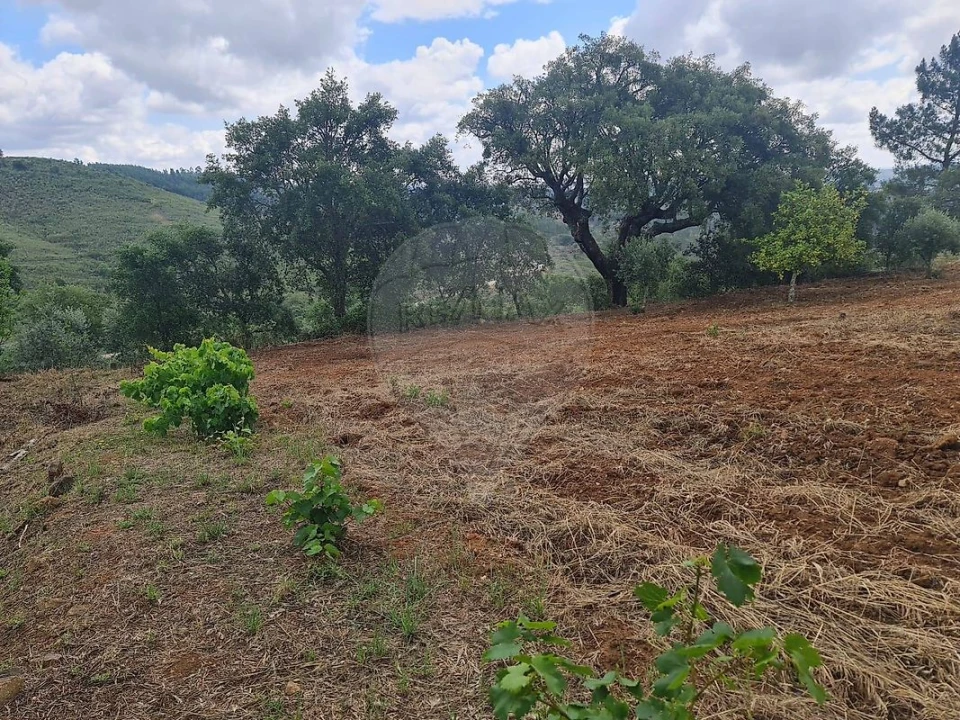 Terreno para Venda em Envendos Foto 39