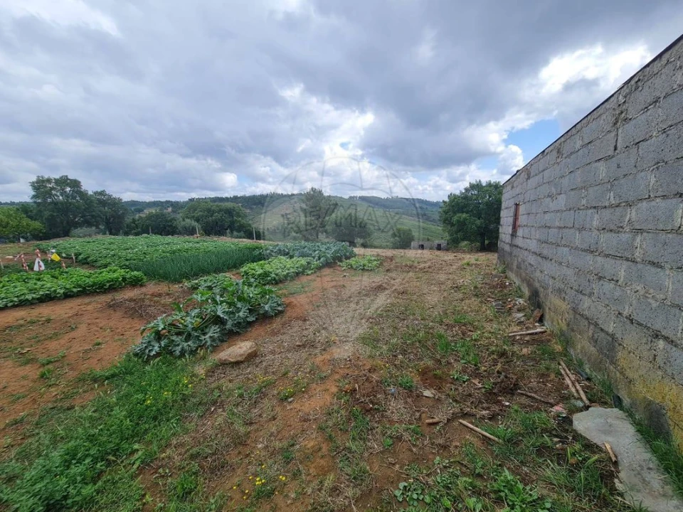 Terreno para Venda em Envendos Foto 20