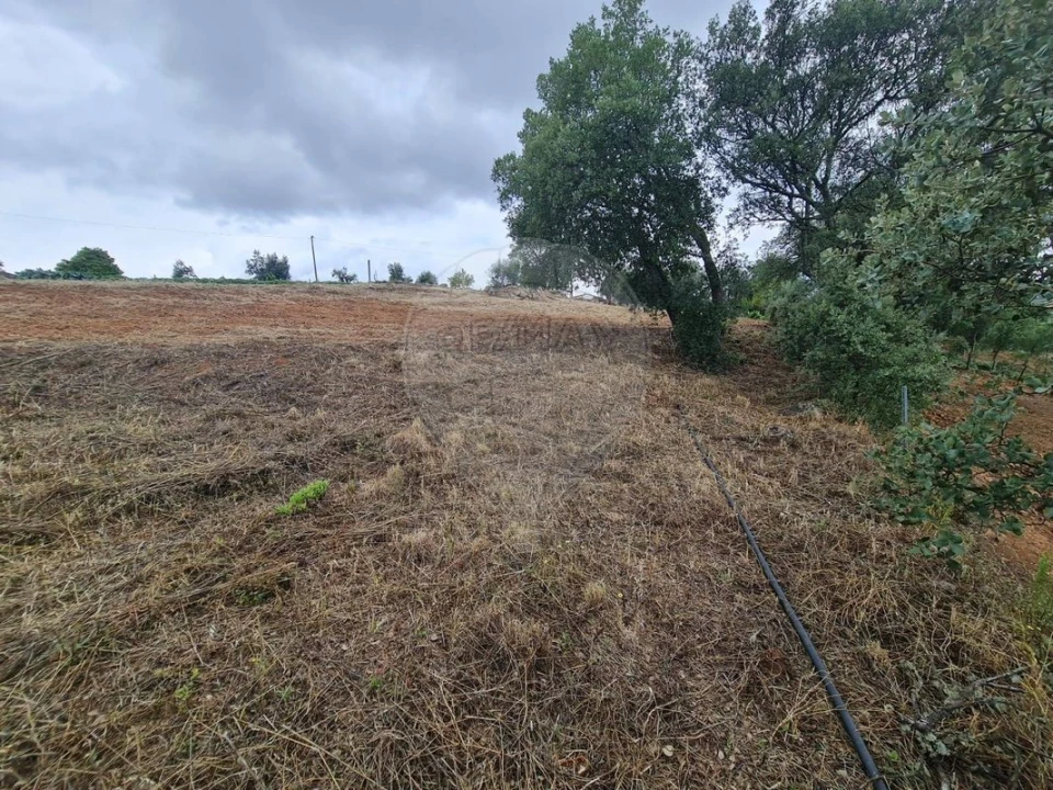 Terreno para Venda em Envendos Foto 11