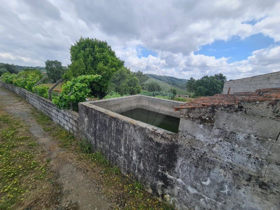 Terreno para Venda em Envendos Foto 13