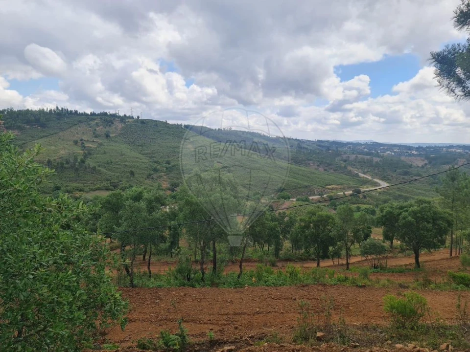 Terreno para Venda em Envendos Foto 17