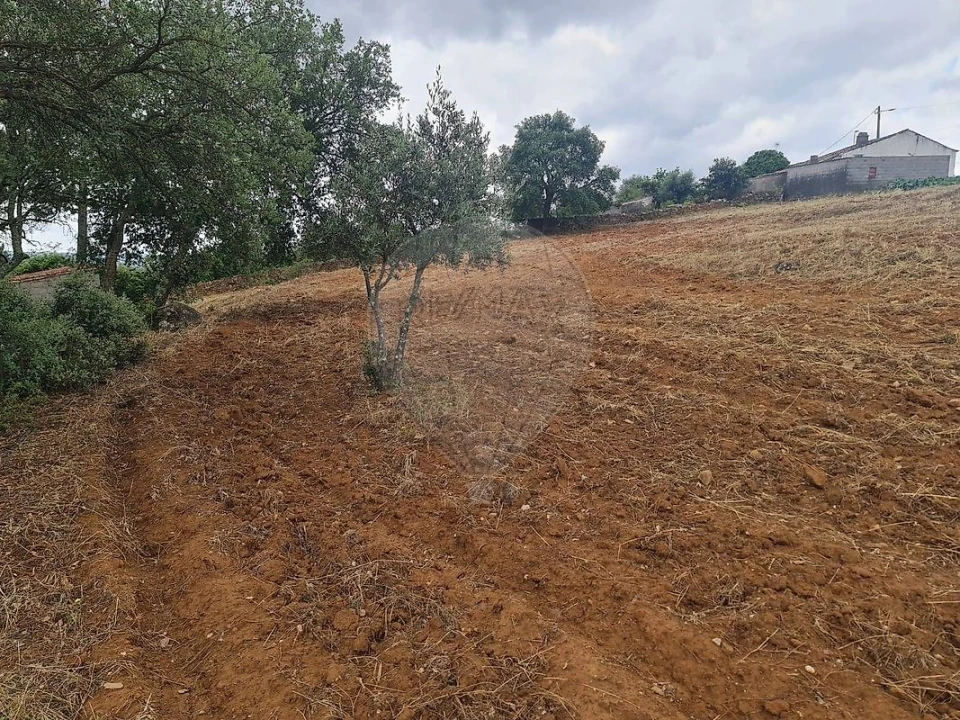 Terreno para Venda em Envendos Foto 33