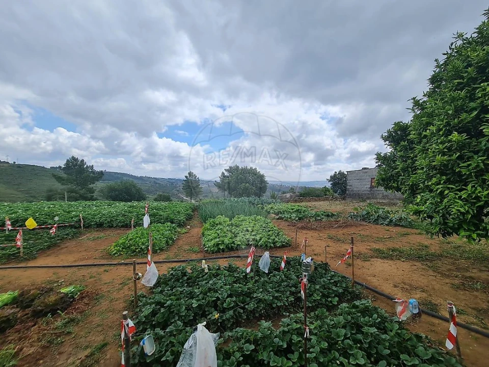 Terreno para Venda em Envendos Foto 26