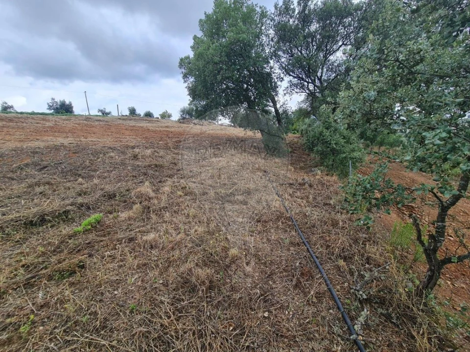 Terreno para Venda em Envendos Foto 27