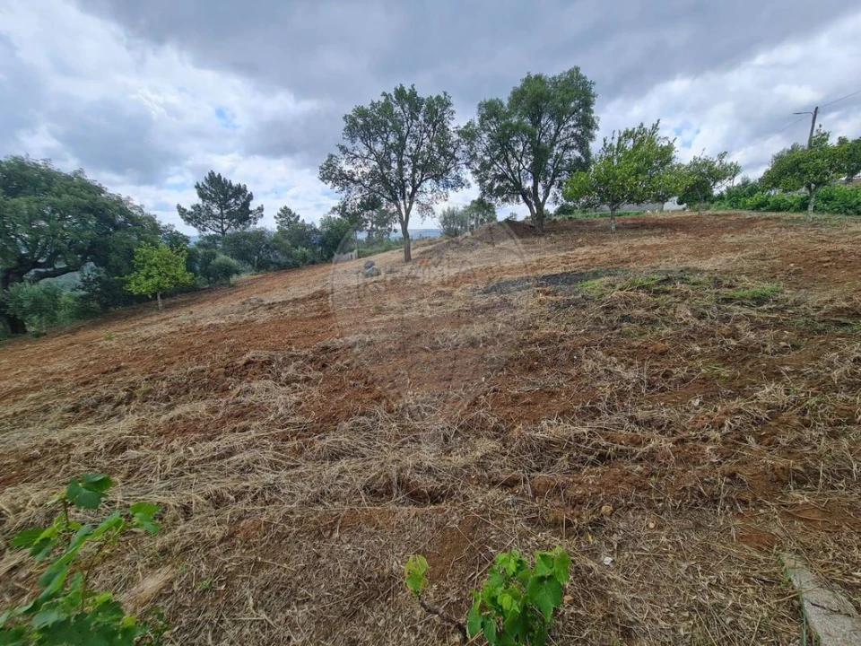 Terreno para Venda em Envendos Foto 38