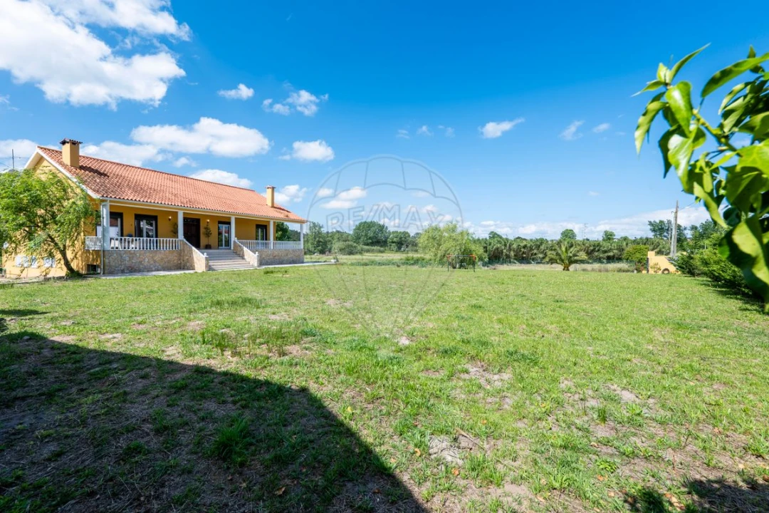 Moradia T4 para Venda em São João da Ribeira e Ribeira de São João Foto 44