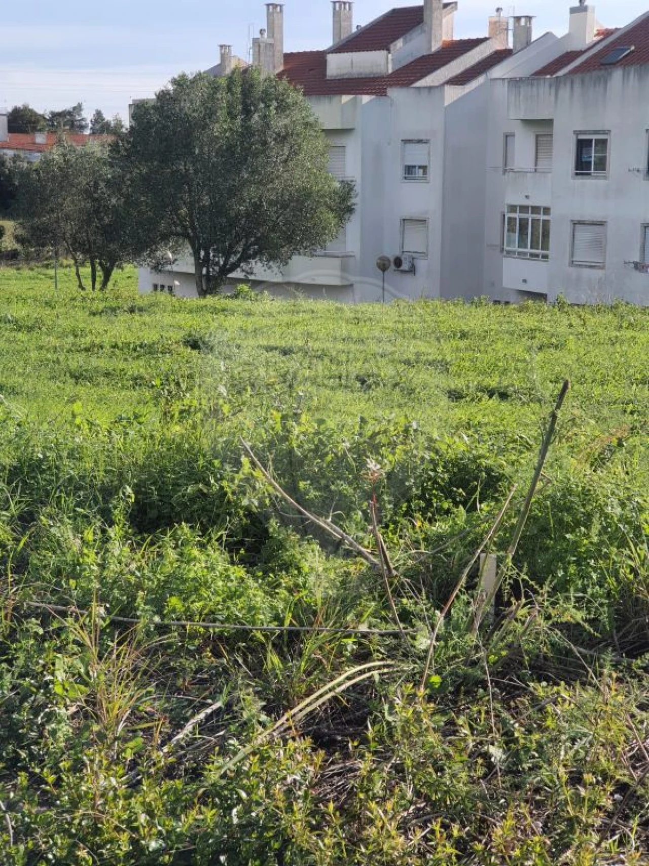 Terreno para Venda em Vialonga Foto 2