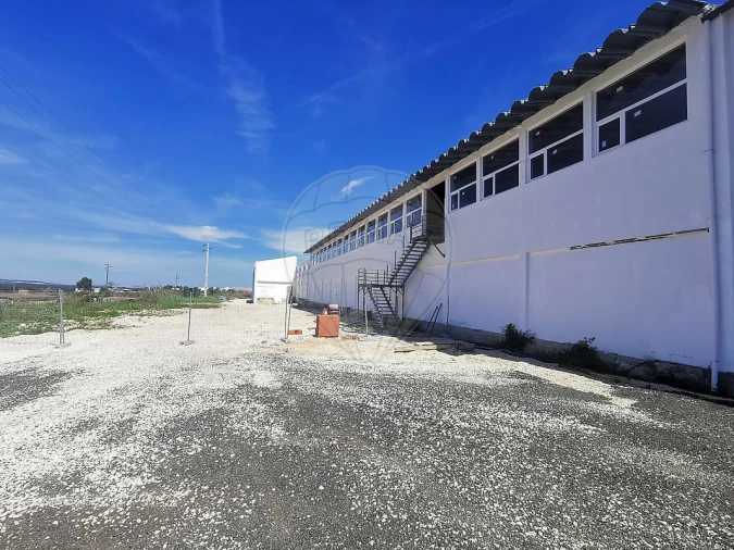 Armazém para Arrendamento em Tornada e Salir do Porto Foto 5