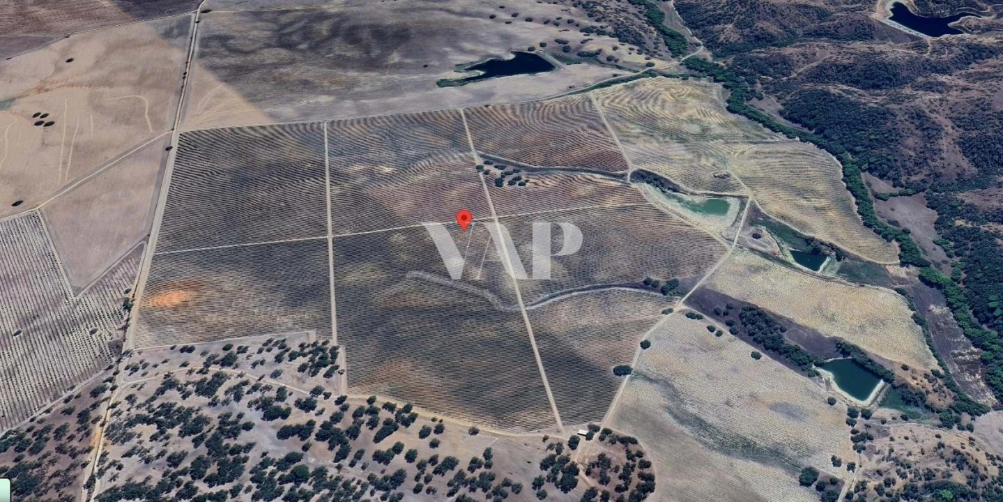 Terreno para Venda em Vendas Novas Foto 5