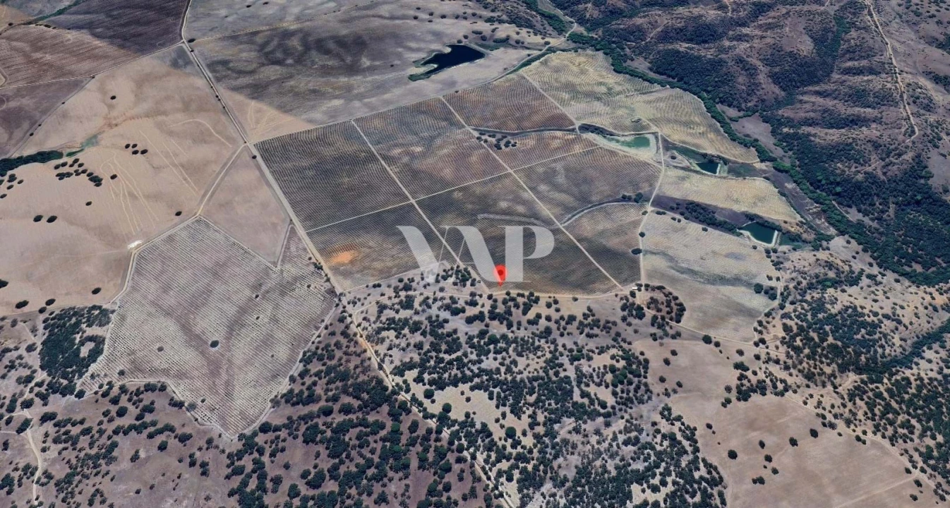 Terreno para Venda em Vendas Novas Foto 3