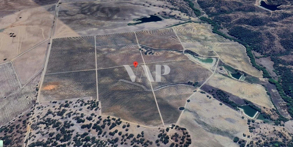 Terreno para Venda em Vendas Novas Foto 5