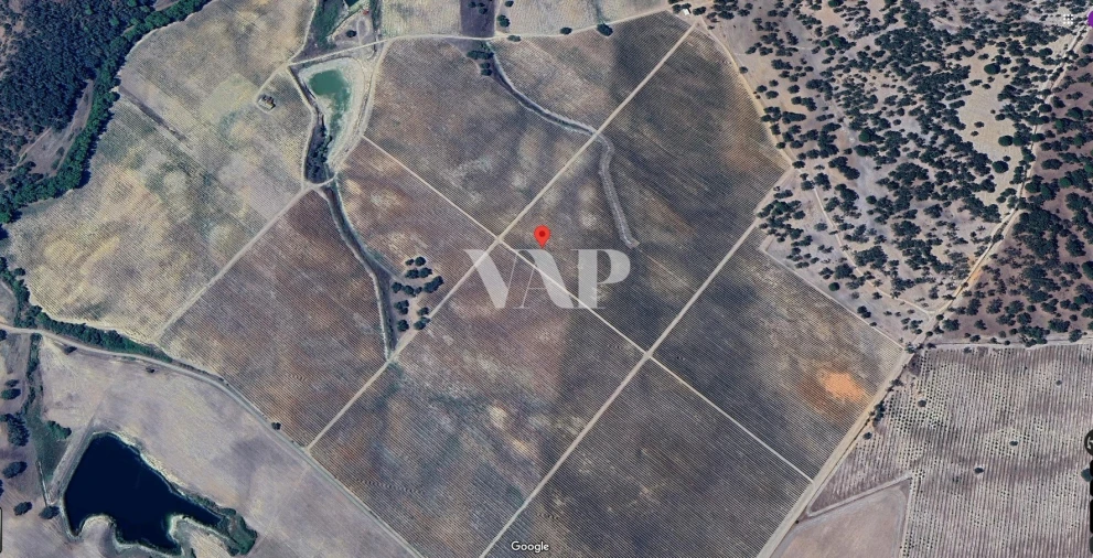 Terreno para Venda em Vendas Novas Foto 1