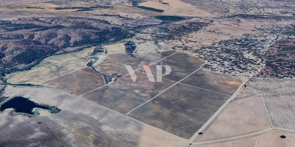 Terreno para Venda em Vendas Novas Foto 7