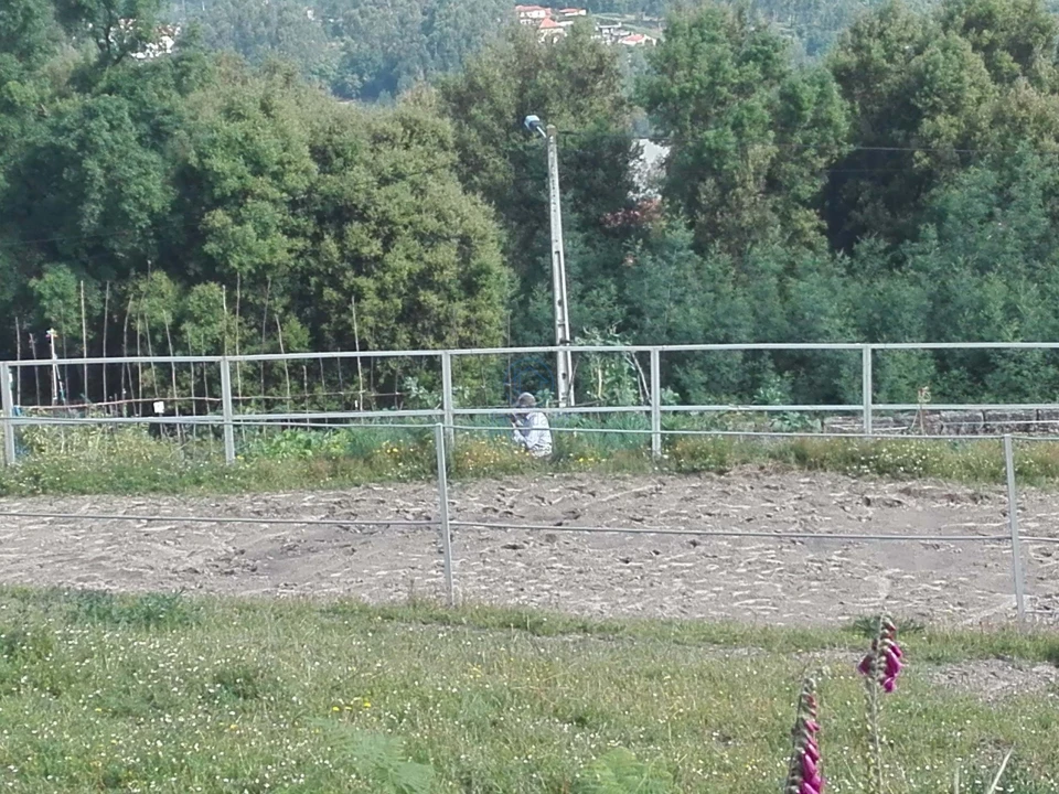 Terreno para Venda em Rebordões Foto 7