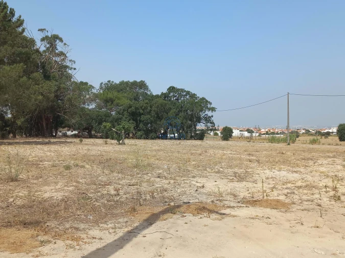 Terreno para Venda em Montijo e Afonsoeiro Foto 5