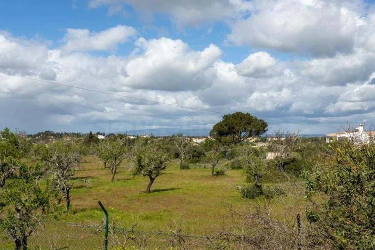 Moradia T4 para Venda em Guia Foto 62