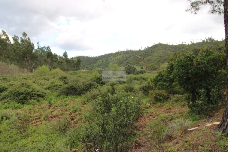 Quinta para Venda em Marmelete Foto 7