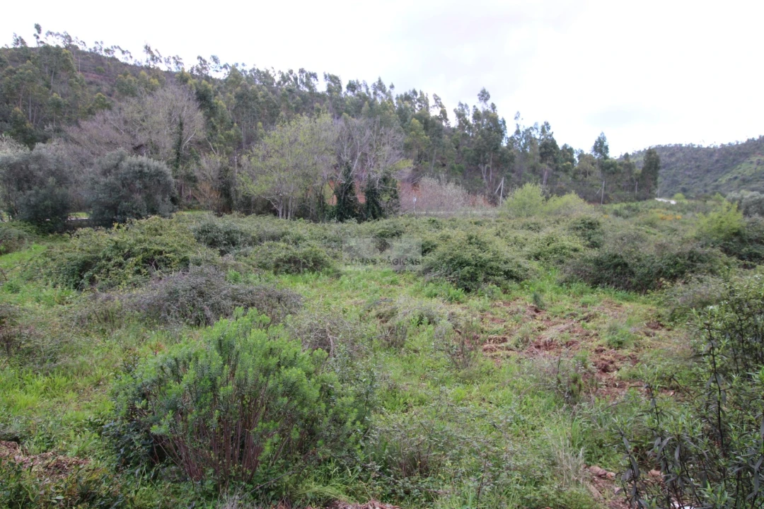 Quinta para Venda em Marmelete Foto 8