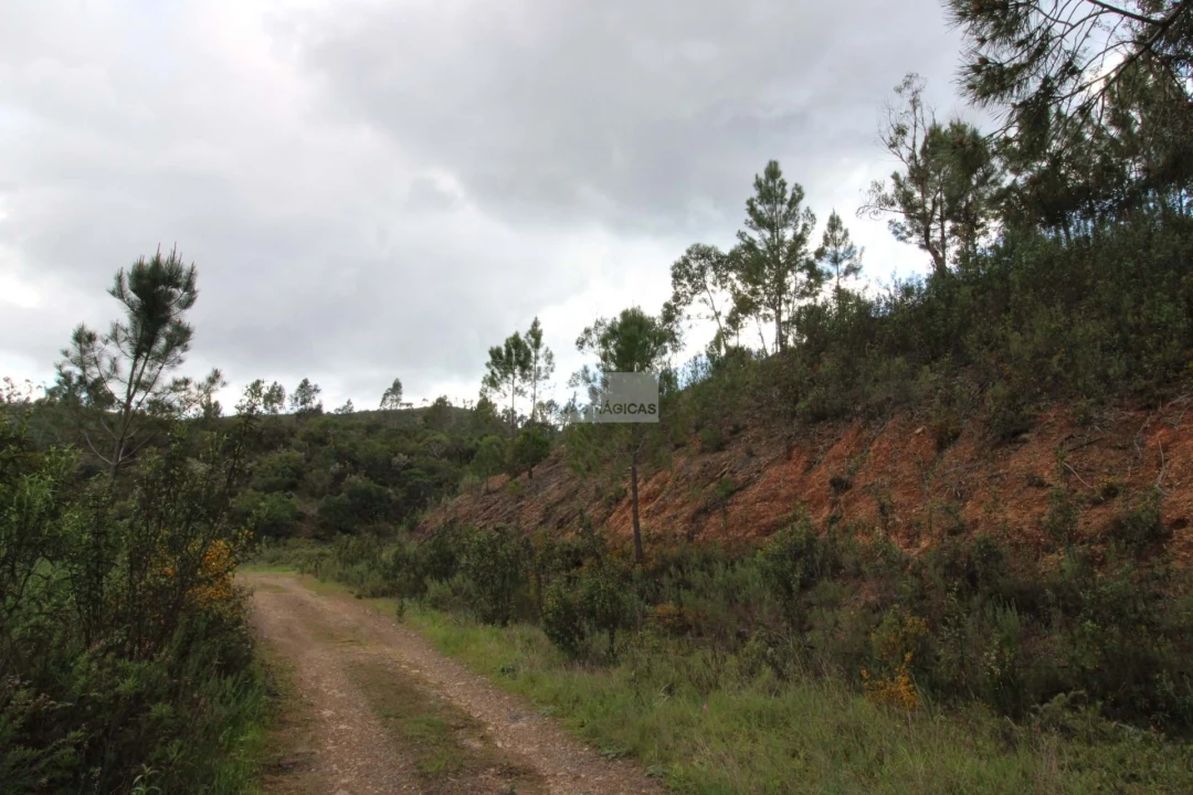 Quinta para Venda em Marmelete Foto 12