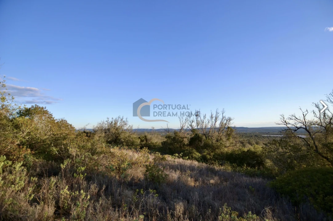 Terreno Agricola ou Rústico para Venda em São Bartolomeu de Messines Foto 3