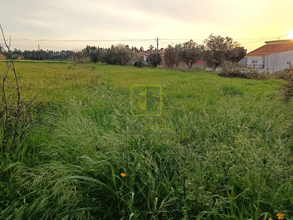 Moradia T2 para Venda em Montemor-O-Velho e Gatões Foto 10