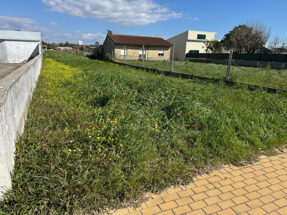 Moradia T4 para Venda em Cacia Foto 8