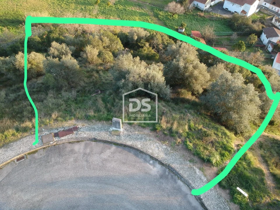 Terreno para Venda em Batalha Foto 7