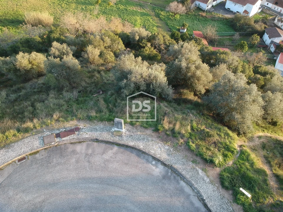 Terreno para Venda em Batalha Foto 6