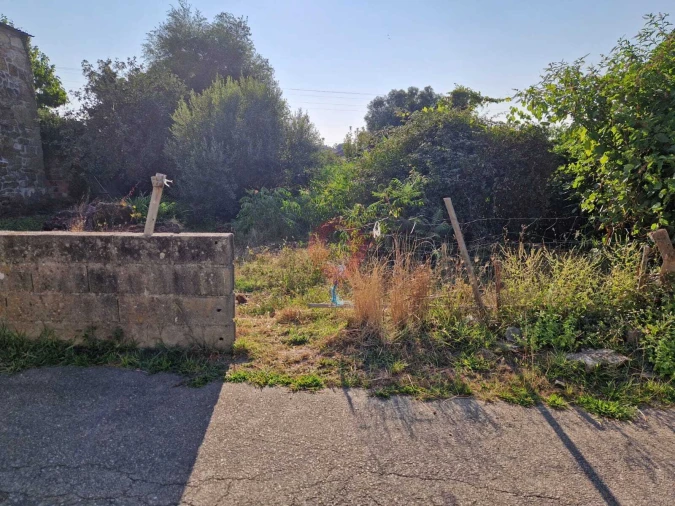 Terreno para Venda em Bela Foto 2